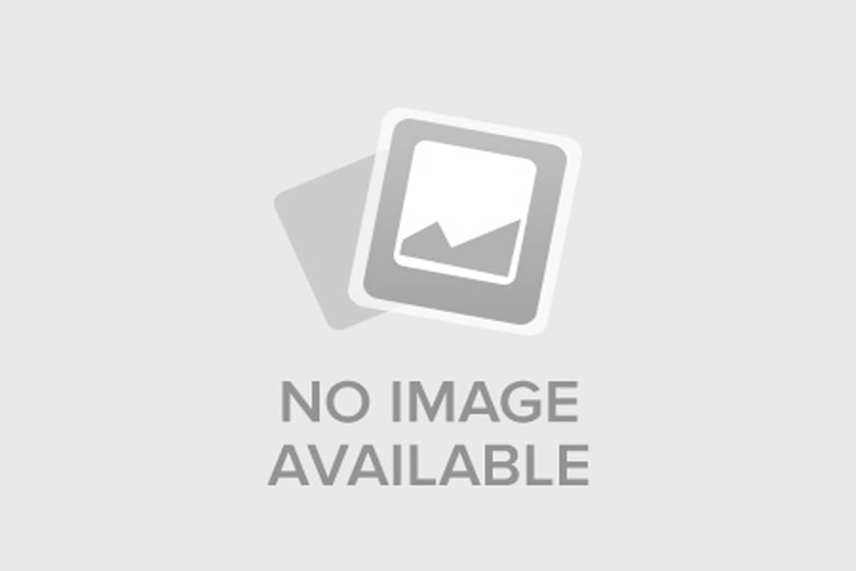 Логотип Bylina