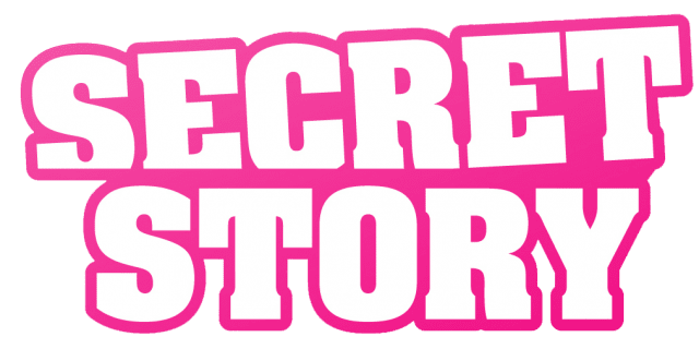 Логотип Secret in Story