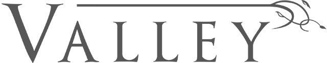 Логотип Valley