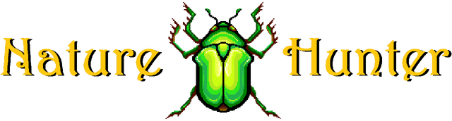 Логотип Nature Hunter