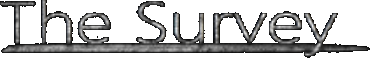 Логотип The Survey