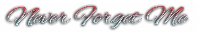 Логотип Never Forget Me