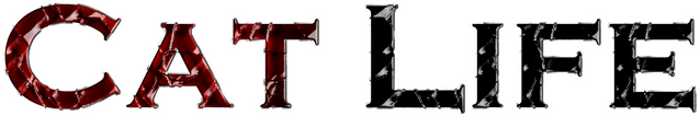 Логотип Cat Life