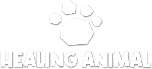 Логотип Healing Animal