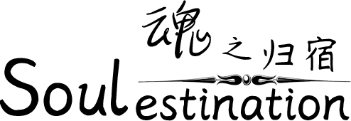 Логотип Soulestination