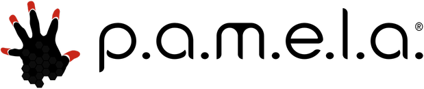 Логотип P.A.M.E.L.A.