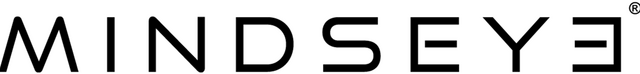 Логотип MindsEye