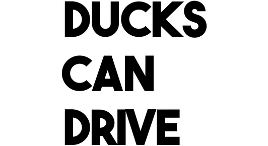 Логотип Ducks Can Drive