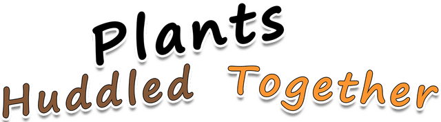 Логотип Plants Huddled Together
