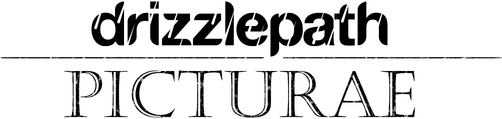 Логотип Drizzlepath: Picturae
