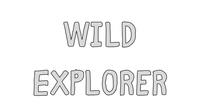 Логотип Wild Explorer