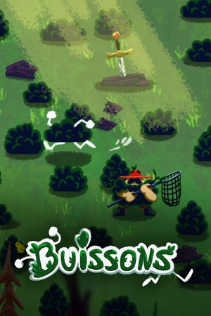 Buissons