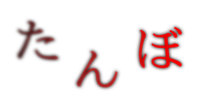 Логотип The Paddy Field