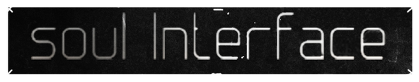 Логотип soul Interface