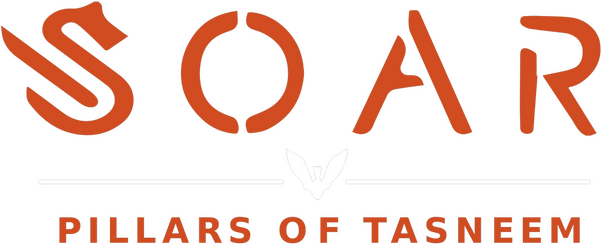 Логотип Soar: Pillars of Tasneem