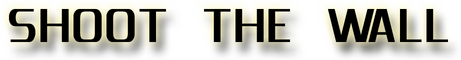 Логотип Shoot The Wall