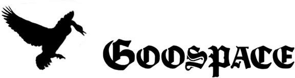 Логотип Goospace