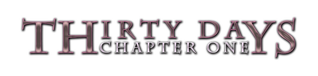 Логотип Thirty Days