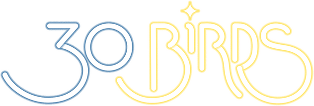 Логотип 30 Birds
