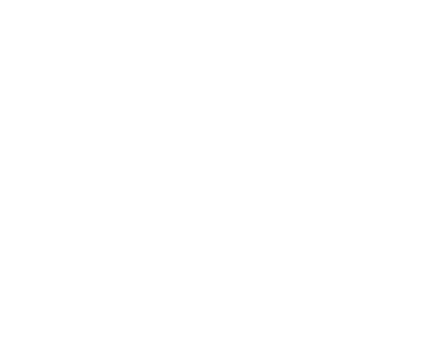 Логотип The Ruin Wanderer