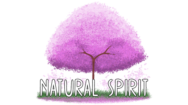 Логотип Natural Spirit