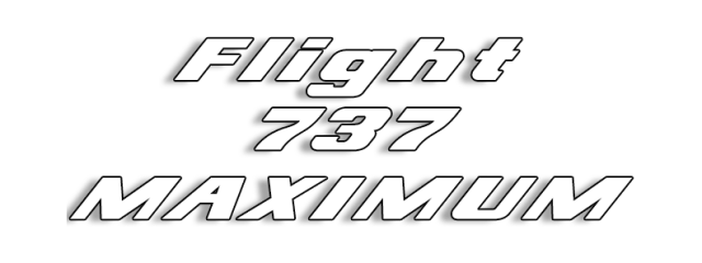 Логотип Flight 737 - MAXIMUM