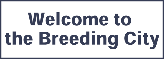 Логотип Breeding City Welcomes you