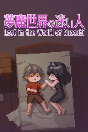 Lost in the World of Succubi