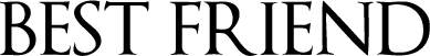 Логотип Best Friend