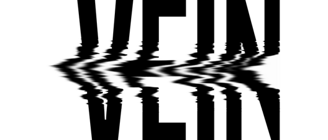 Логотип VEIN