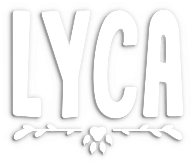Логотип Lyca