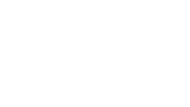 Логотип Salt and Sanctuary