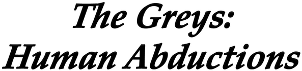 Логотип The Greys: Human Abductions