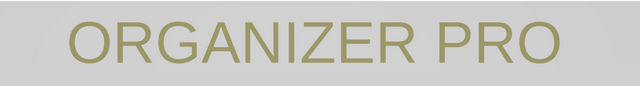 Логотип Organizer Pro