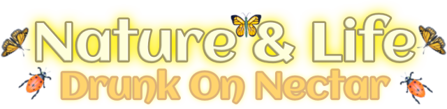 Логотип Nature And Life - Drunk On Nectar
