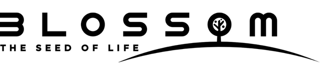 Логотип Blossom: The Seed of Life