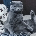 Глеб Митрохин