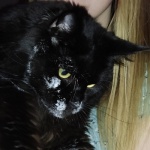 Александр Нефёдов