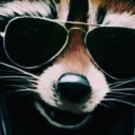 Данил Стрельченко