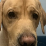 Просто Миша