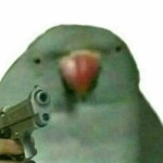 Максим Вишневский