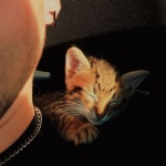 ЛешийЗарик