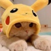Neko_Pikachu