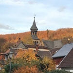 Никита Бабович