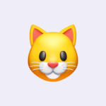 natsudragnil4953gmail.com