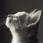 Руслан Скрыбыкин