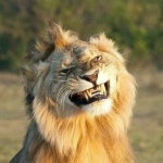 Александр Расмет