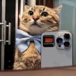 Евгений Горелов