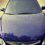 Егор Щербина