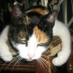 Павел Вакин